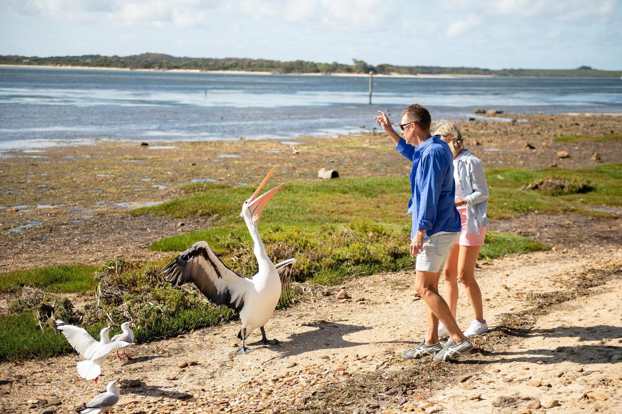 Mercure Kangaroo Island Lodge American River Екстер'єр фото
