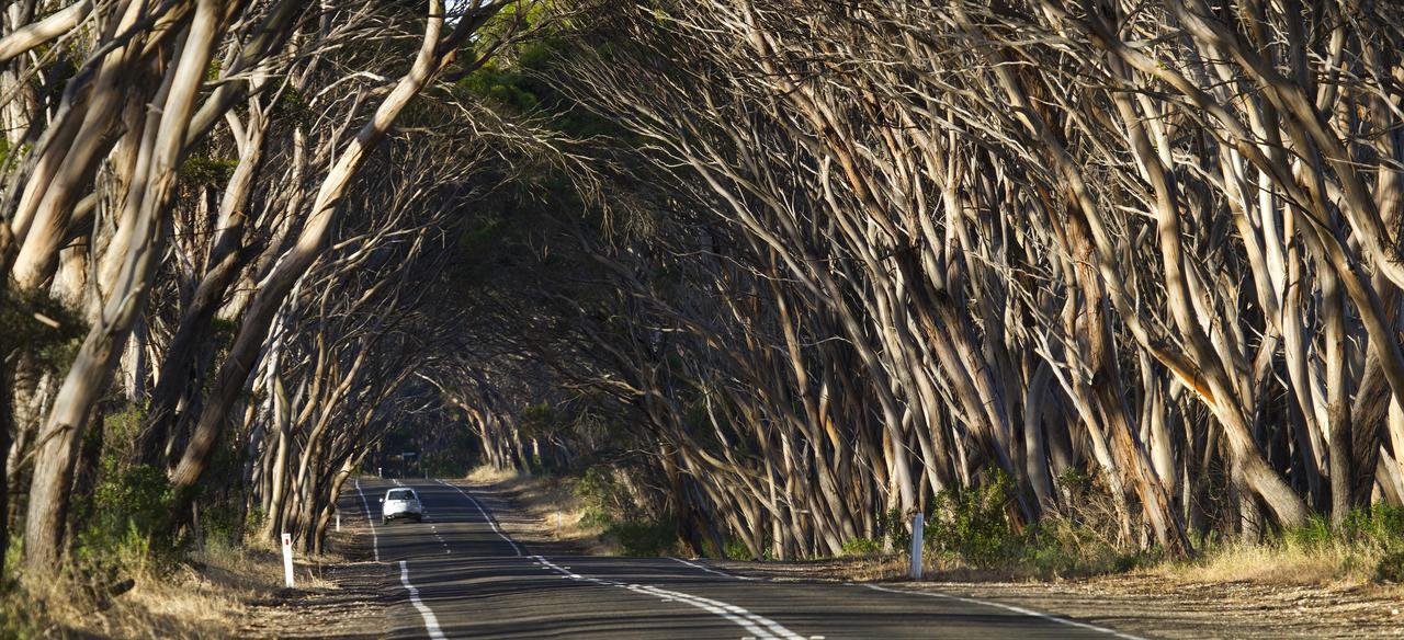 Mercure Kangaroo Island Lodge American River Екстер'єр фото